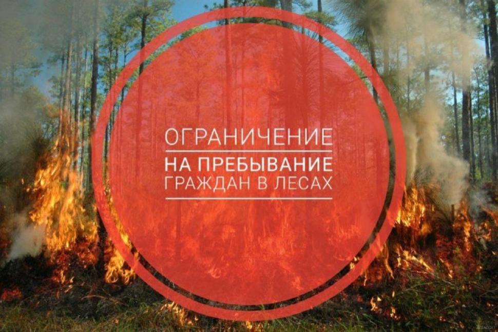 Напоминаем гражданам Камешкирского района, что на территории Пензенской области действует особый противопожарный режим!!! Напоминаем гражданам Камешкирского района, что на территории Пензенской области действует особый противопожарный режим!!!