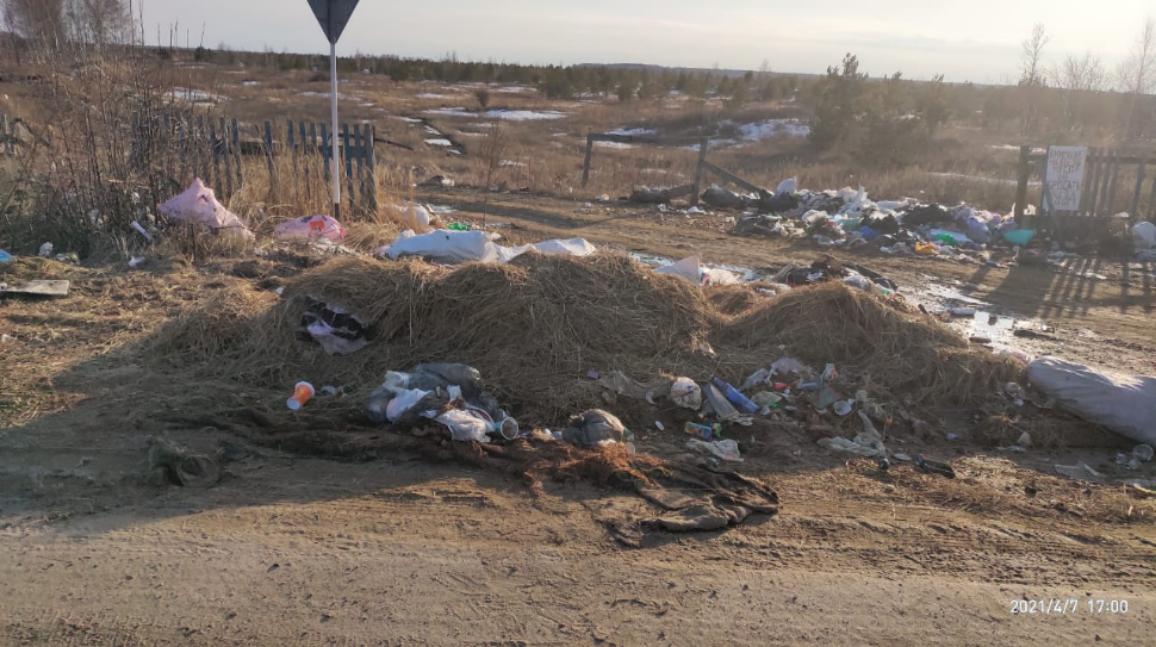 Скажем «Нет!» несанкционированным свалкам