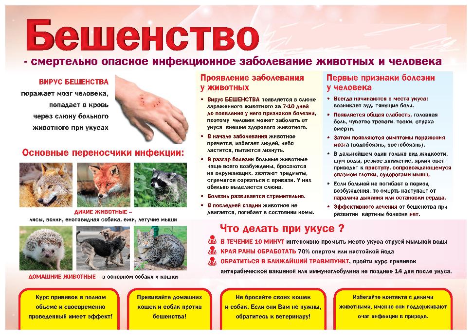 Ветеринарные специалисты напоминают! Ветеринарные специалисты напоминают!