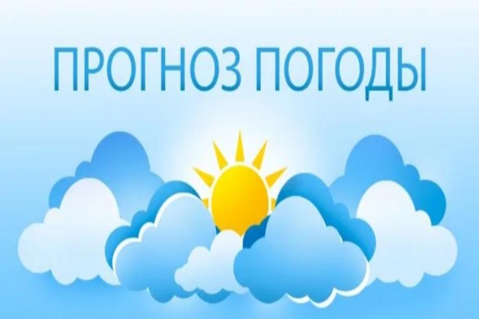 Прогноз погоды Прогноз погоды
