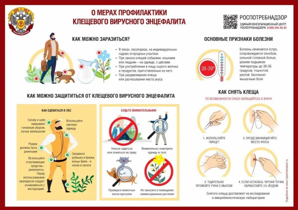 О мерах профилактики клкщквого вирусного энцефалита О мерах профилактики клкщквого вирусного энцефалита