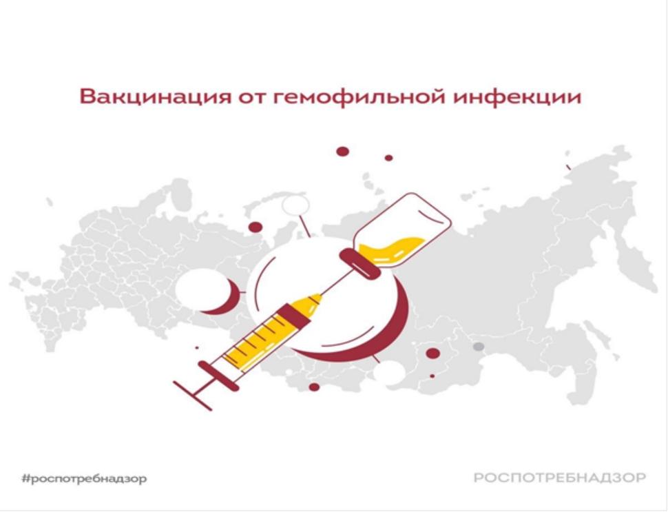 Вакцинация от гемофильной инфекции Вакцинация от гемофильной инфекции