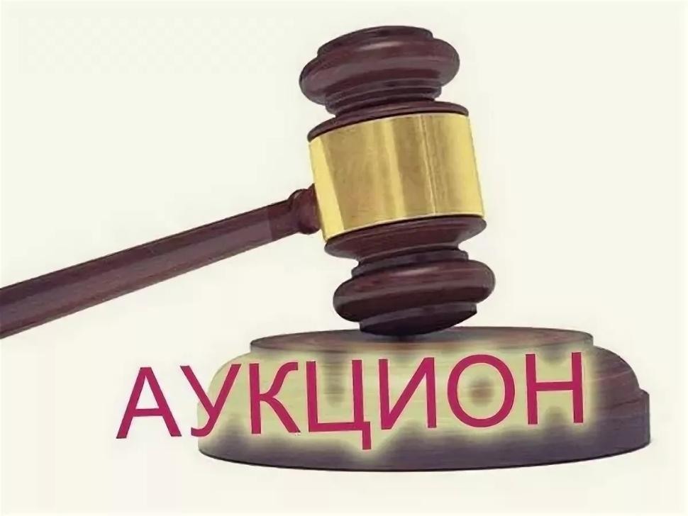 Администрация Камешкирского района Пензенской области (организатор торгов) объявляет  о проведении  открытого аукциона  