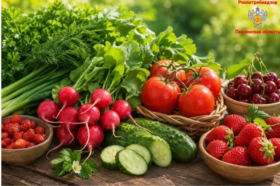 С грядки на стол: как обрабатывать овощи и зелень, чтобы не заболеть?