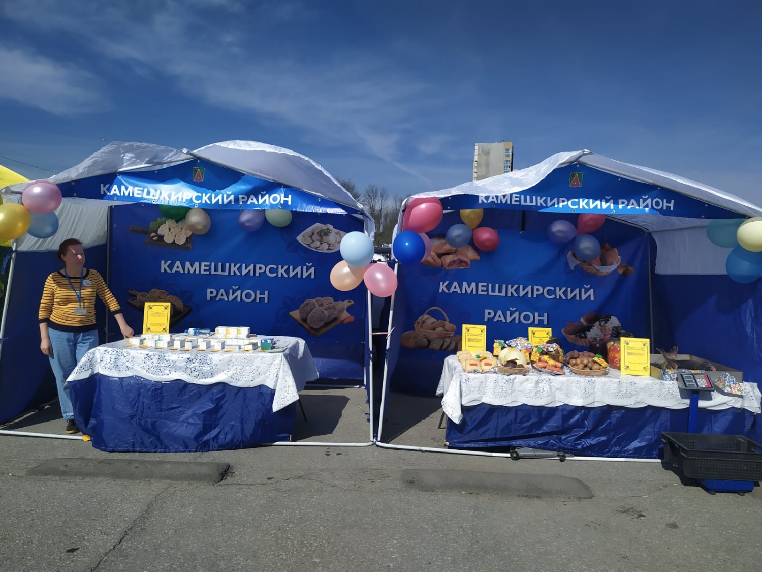 Аграрии Камешкирского  района приняли участие в фестивале "Агро-Fest"