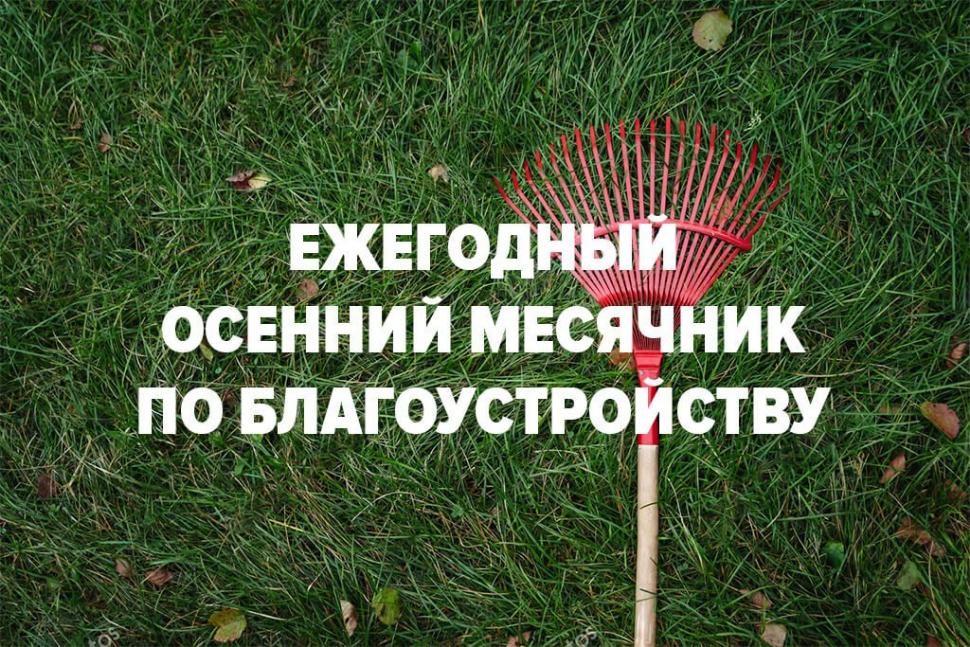 На территории Камешкирского района проводится месячник по благоустройству и санитарной очистке населенных пунктов На территории Камешкирского района проводится месячник по благоустройству и санитарной очистке населенных пунктов
