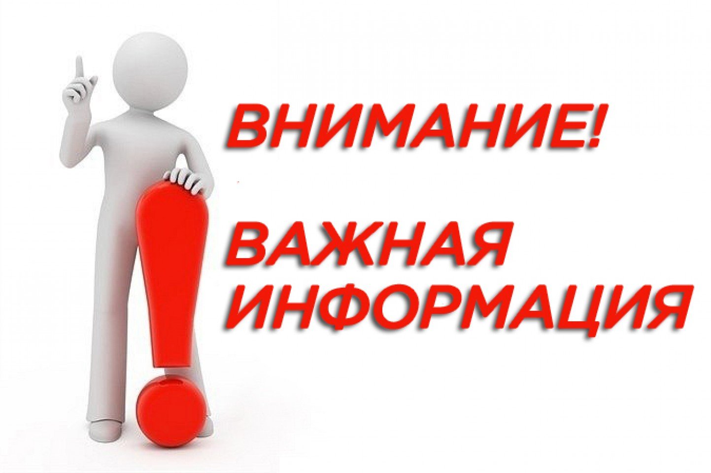 Проект отчета, порядок и сроки предоставления замечании к проекту отчета