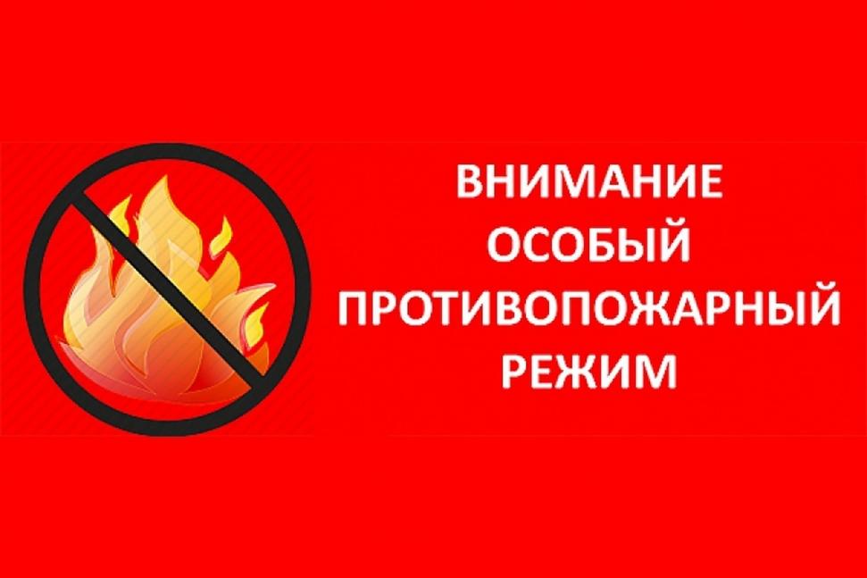 В Пензенской области введен особый противопожарный режим
