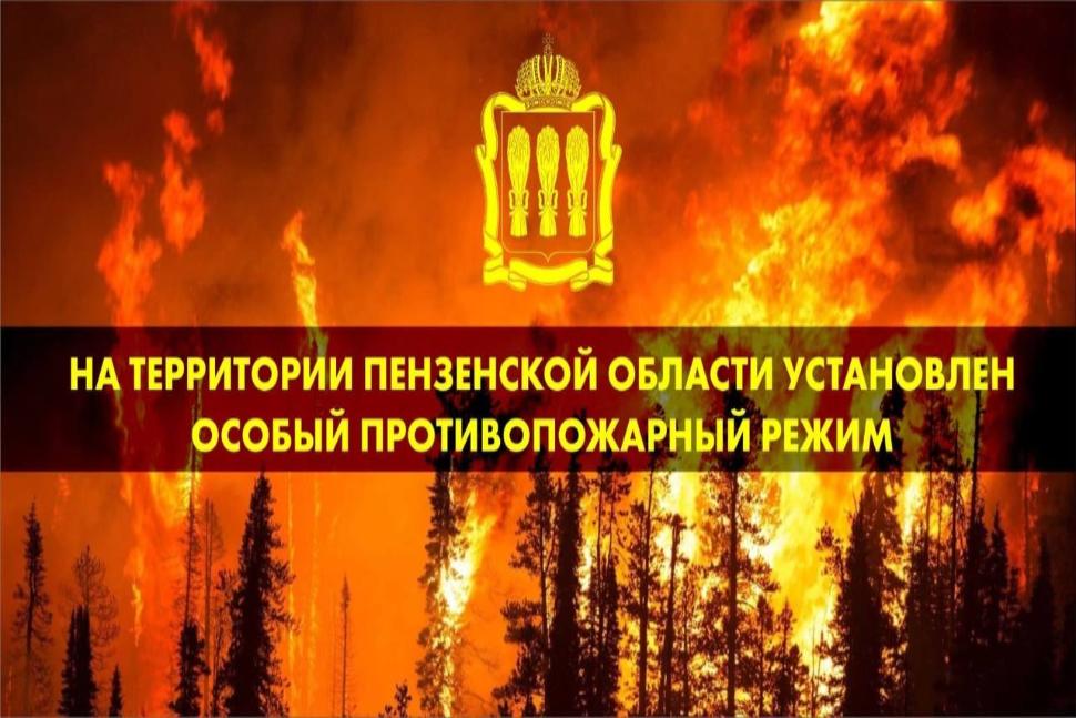На территории Пензенской области установлен особый противопожарный режим