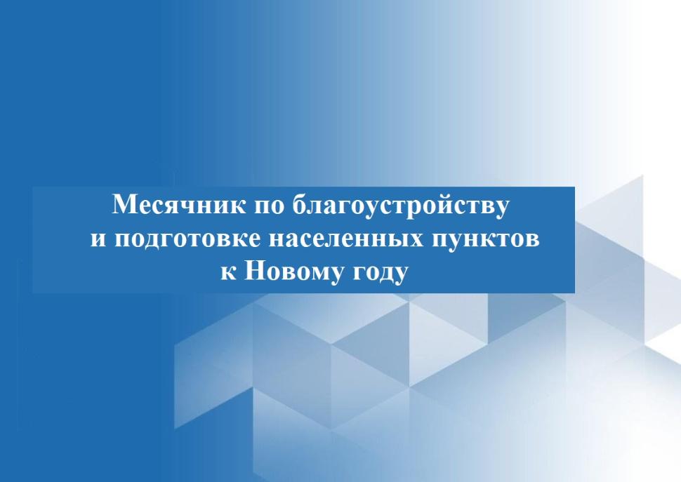На территории Камешкирского района проводится месячник по благоустройству и подготовке населенных пунктов к Новому году  