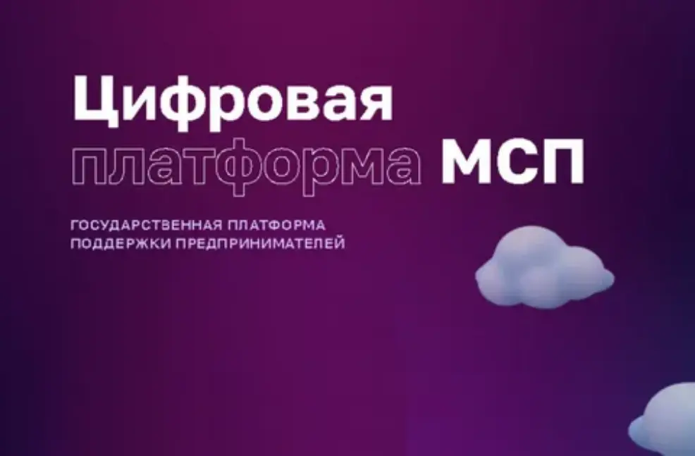 На Цифровой платформе МСП для пензенских предпринимателей доступны региональные меры поддержки в электронном виде