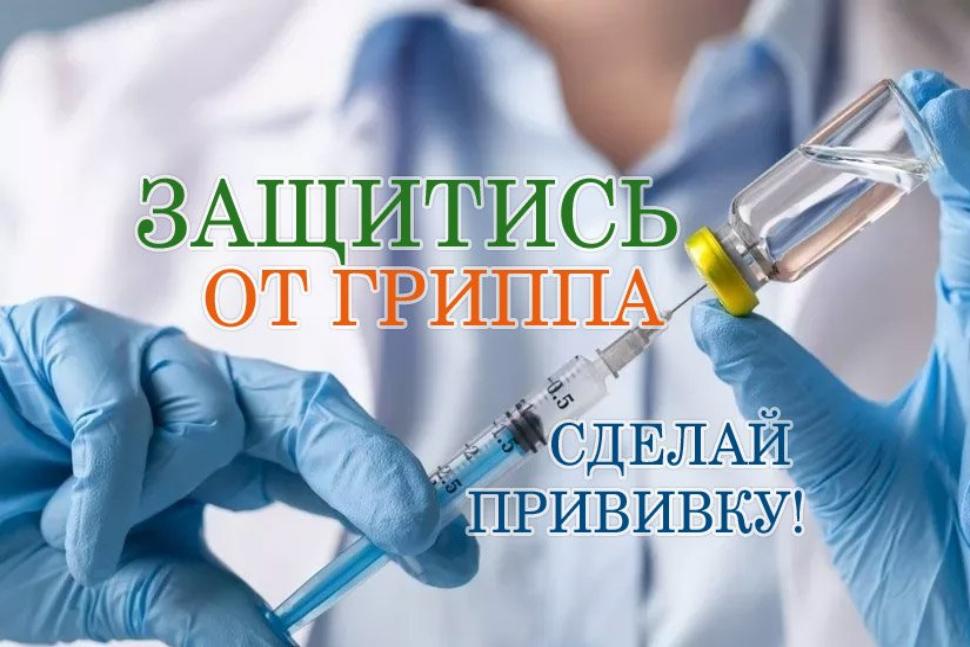 Вакцина против гриппа Вакцина против гриппа