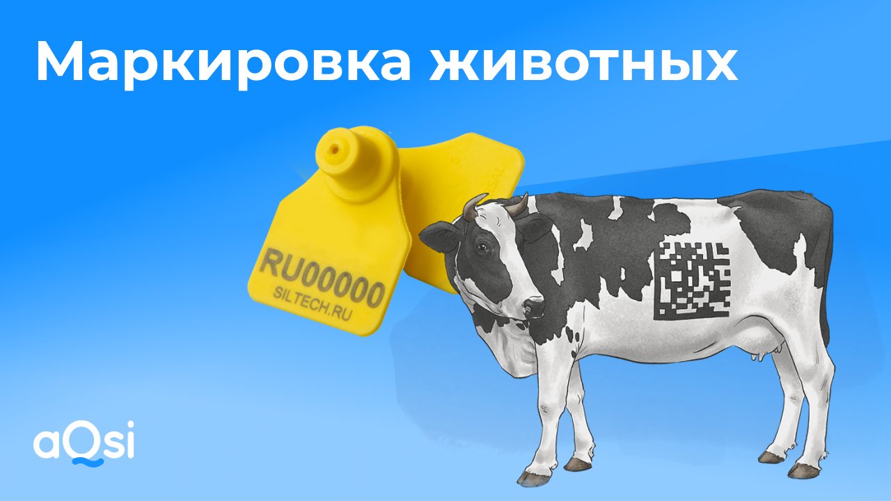 Маркировка животных: что важно знать?