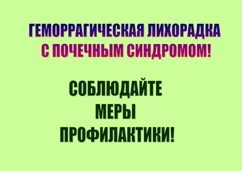 Осложнение эпидемиологической ситуации по геморрагической лихорадке с почечным синдромом