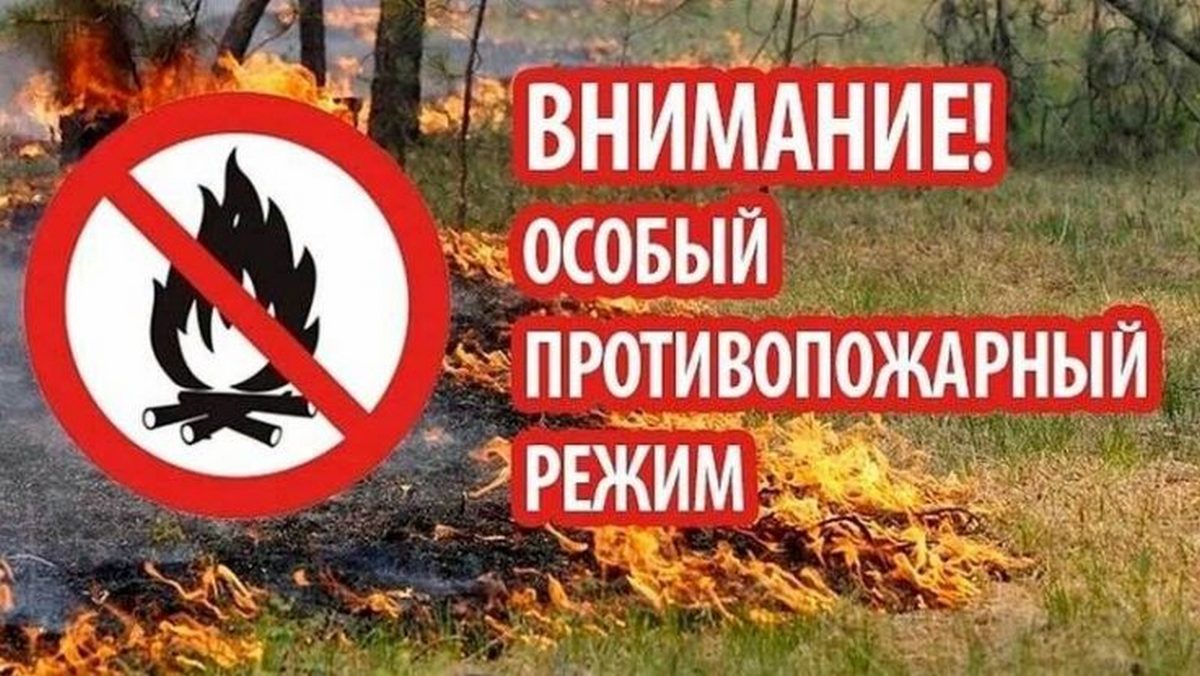В Пензенской области введён особый противопожарный режим В Пензенской области введён особый противопожарный режим
