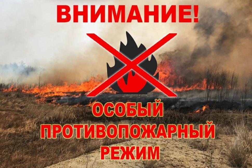 На территории Пензенской области действует особый противопожарный режим На территории Пензенской области действует особый противопожарный режим