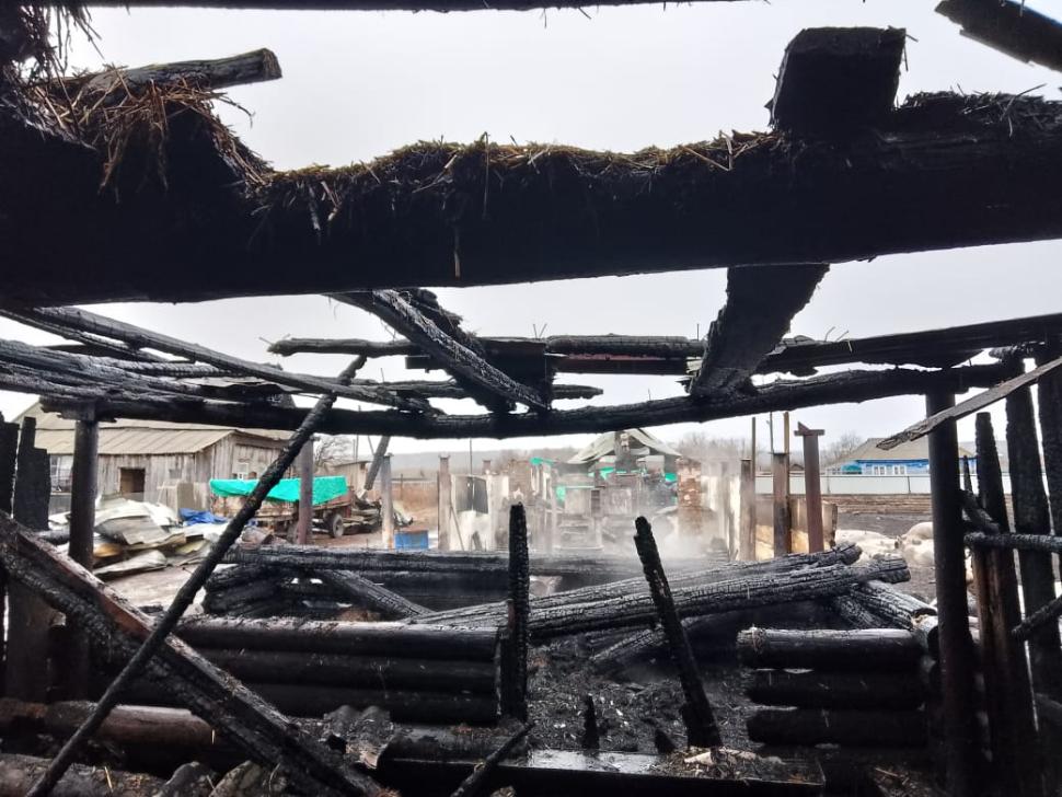 В Камешкирском районе произошел очередной пожар! В Камешкирском районе произошел очередной пожар!