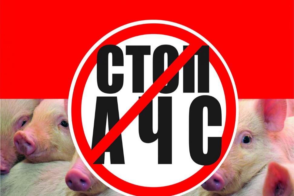 Памятка для владельцев свиней: Африканская чума свиней Памятка для владельцев свиней: Африканская чума свиней