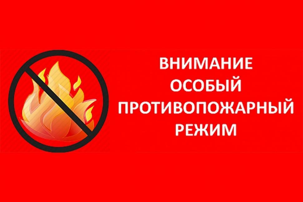 Напоминаем гражданам Камешкирского района, что на территории Пензенской области действует особый противопожарный режим!!! Напоминаем гражданам Камешкирского района, что на территории Пензенской области действует особый противопожарный режим!!!