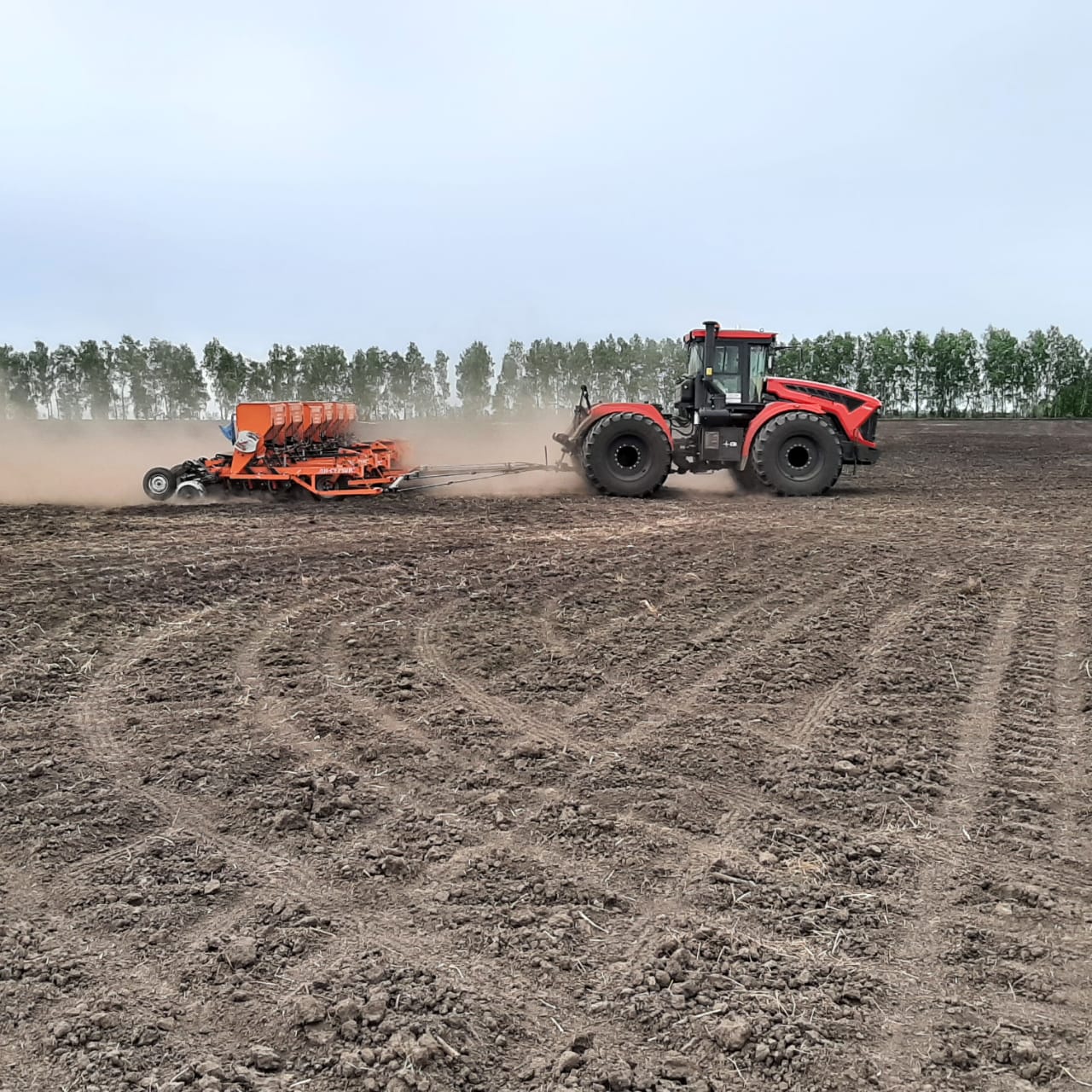 В Камешкирском районе весенняя посевная кампания подходит к завершению