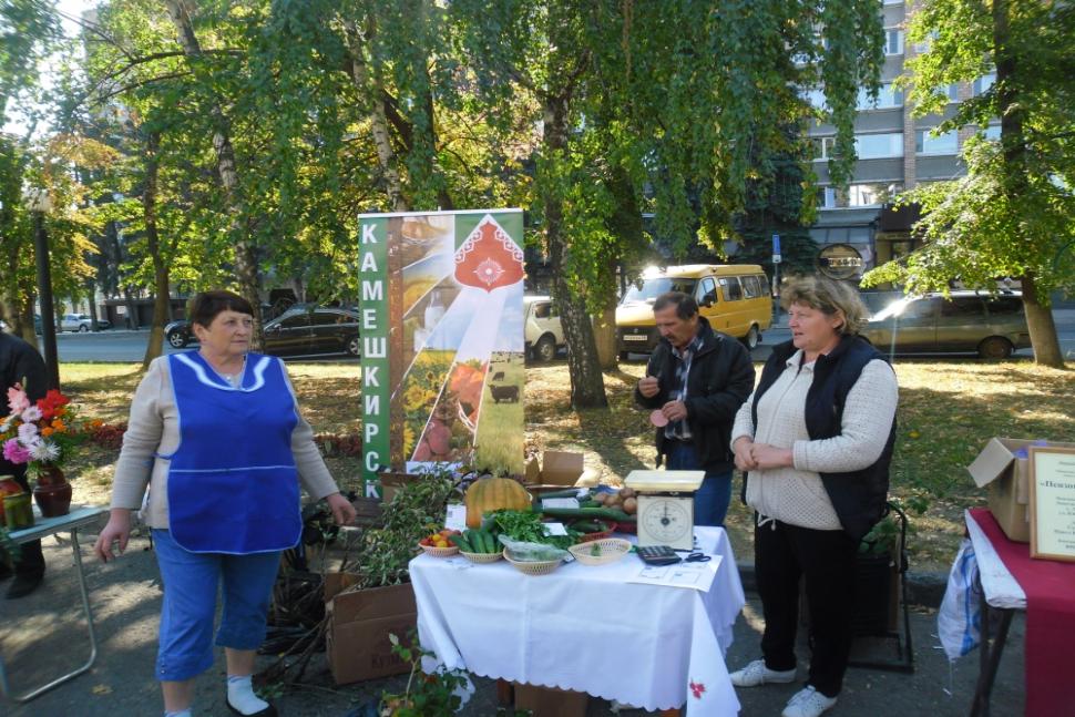 Сельхозтоваропроизводители Камешкирского района приняли участие в «Фестивале садоводства» Сельхозтоваропроизводители Камешкирского района приняли участие в «Фестивале садоводства»