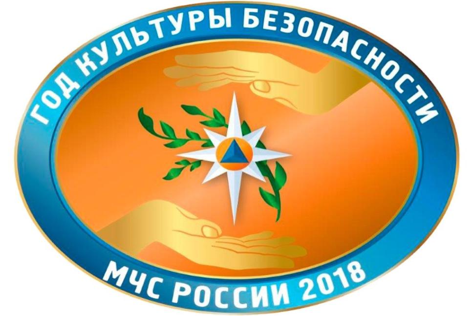 Год культуры безопасности