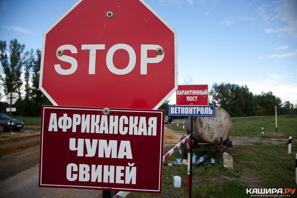 Памятки по профилактике гриппа птиц и африканской чумы свиней Памятки по профилактике гриппа птиц и африканской чумы свиней