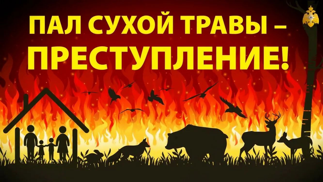 Информация для населения