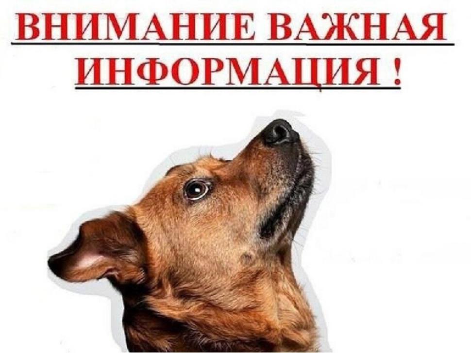 Внимание владельцев домашних животных!!! 14 апреля   2025 года на территории района будет   проводиться отлов животных без владельцев!!!