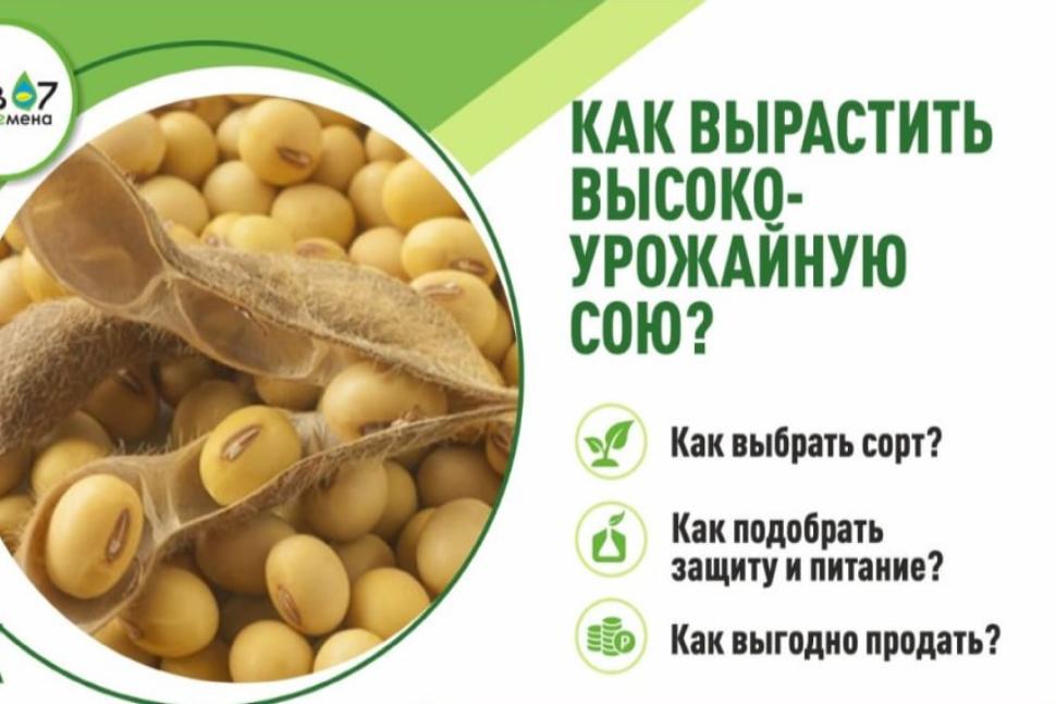 Полевой семинар по эффективному выращиванию сои и пшеницы