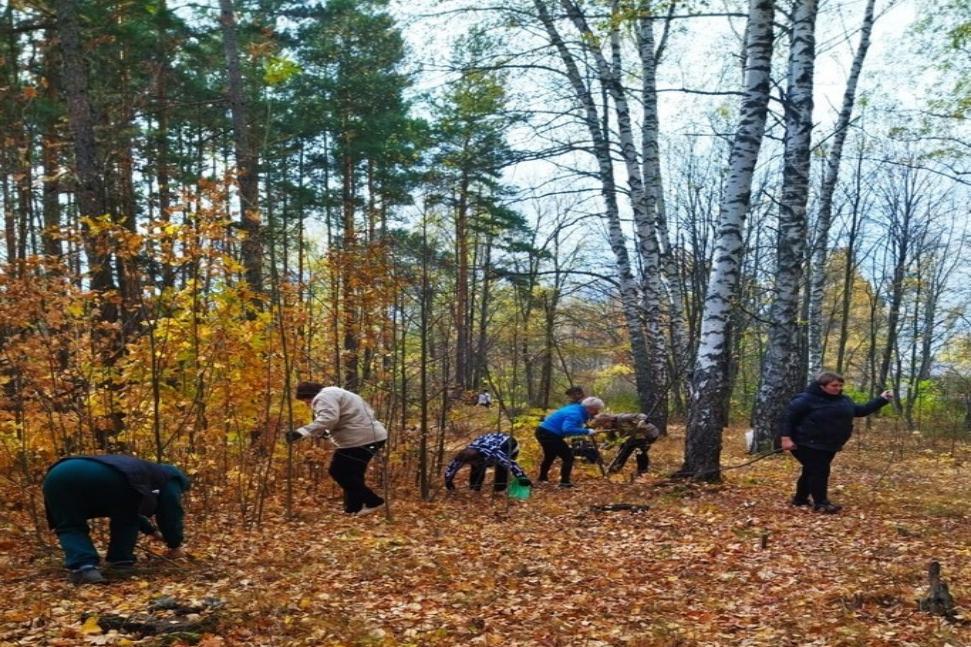 На территории Камешкирского района продолжаются мероприятия по благоустройству общественных территорий