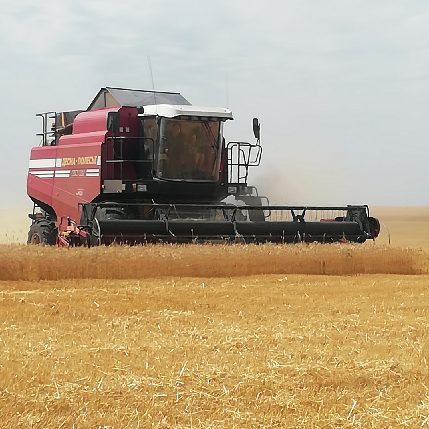 В Камешкирском районе продолжается уборка урожая