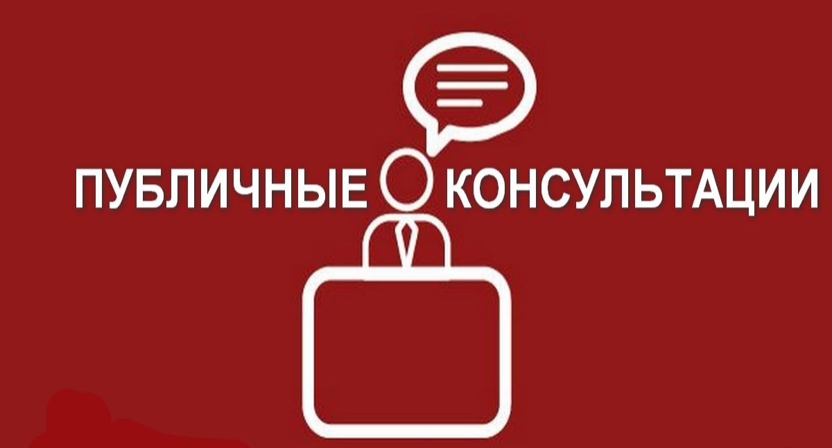 Проведение публичных консультаций