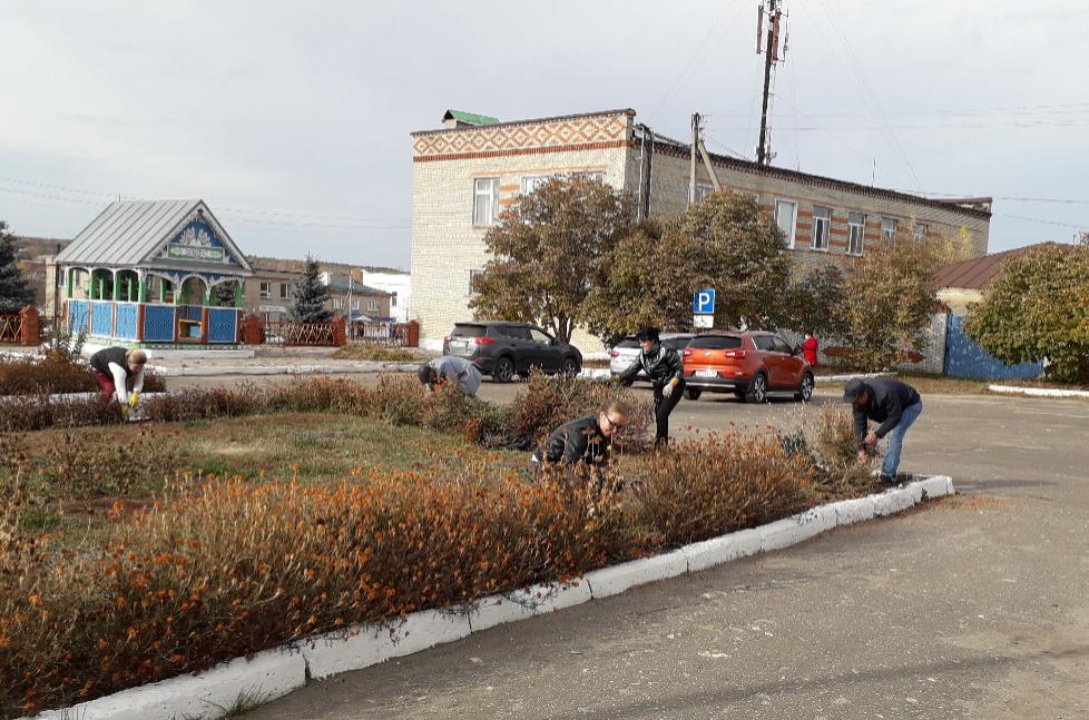 Благоустройство прилегающей территории Благоустройство прилегающей территории