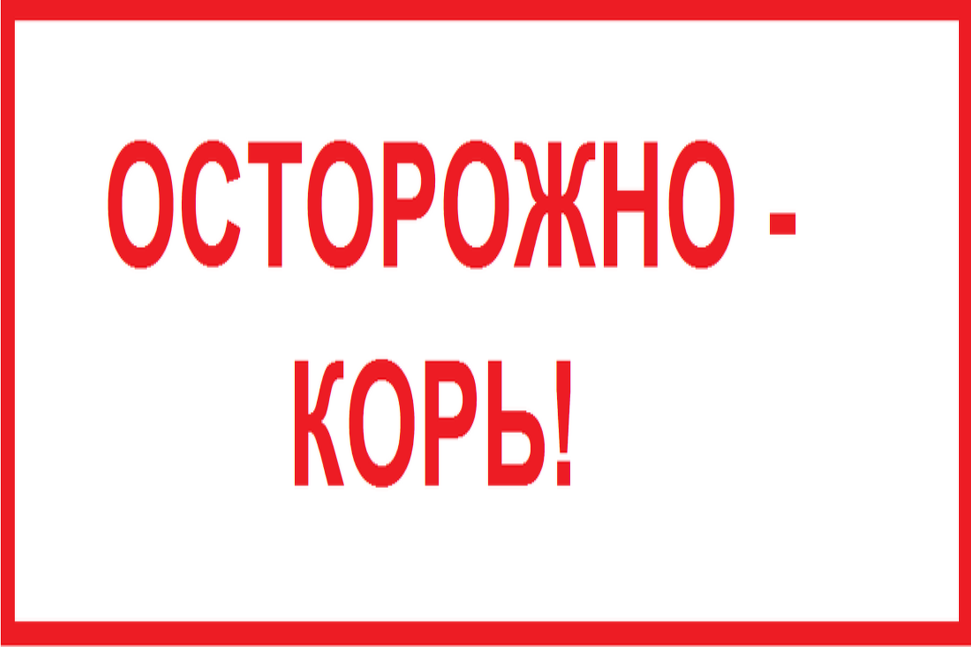 Семь главных вопросов про корь