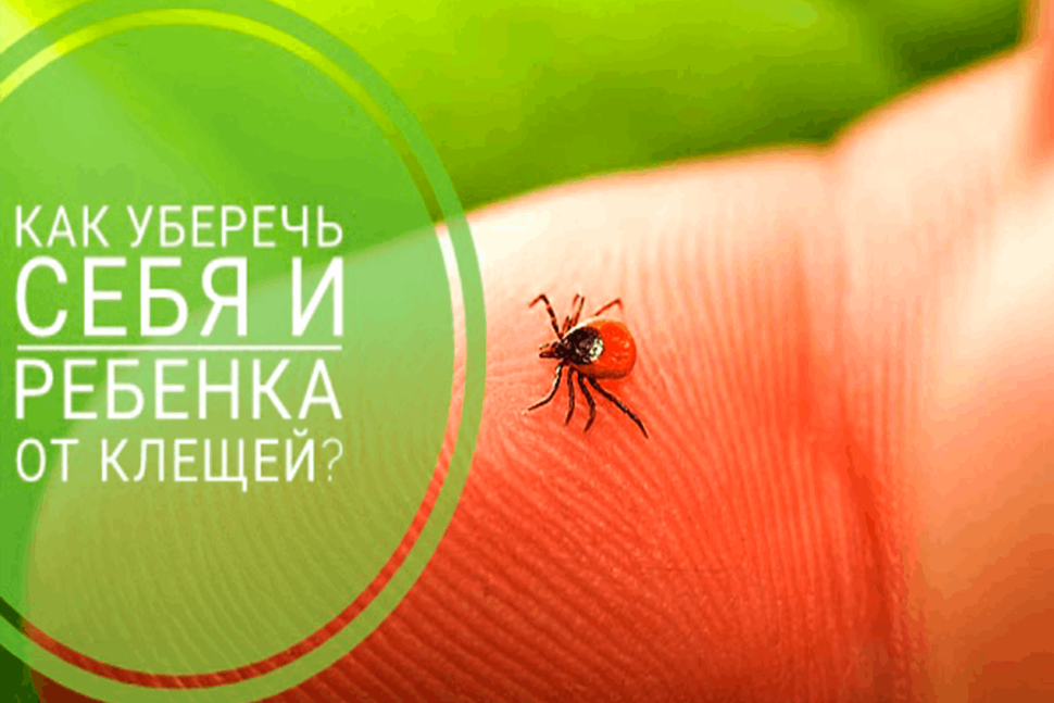 О рекомендациях, как защитить детей от клещей О рекомендациях, как защитить детей от клещей