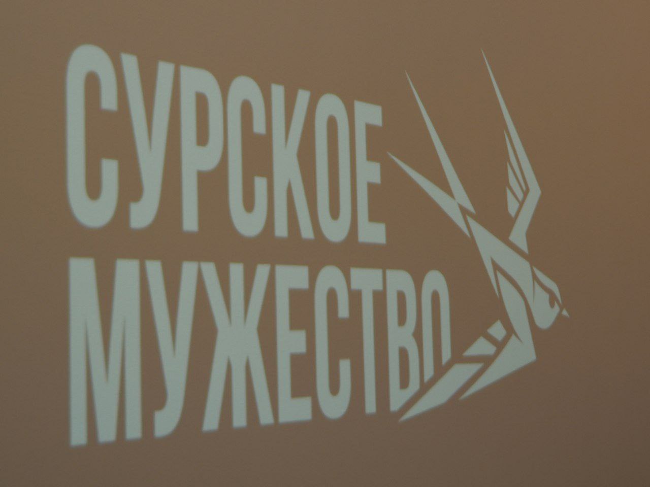 Сурское мужество