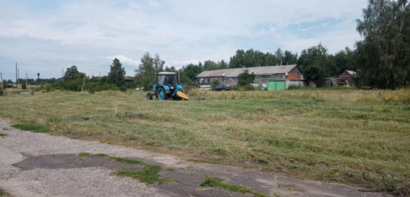 Проведен обкос внутрипоселковых дорог Новошаткинского сельсовета 