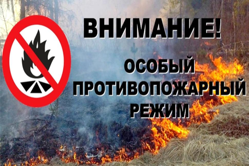 Особый противопожарный режим Особый противопожарный режим