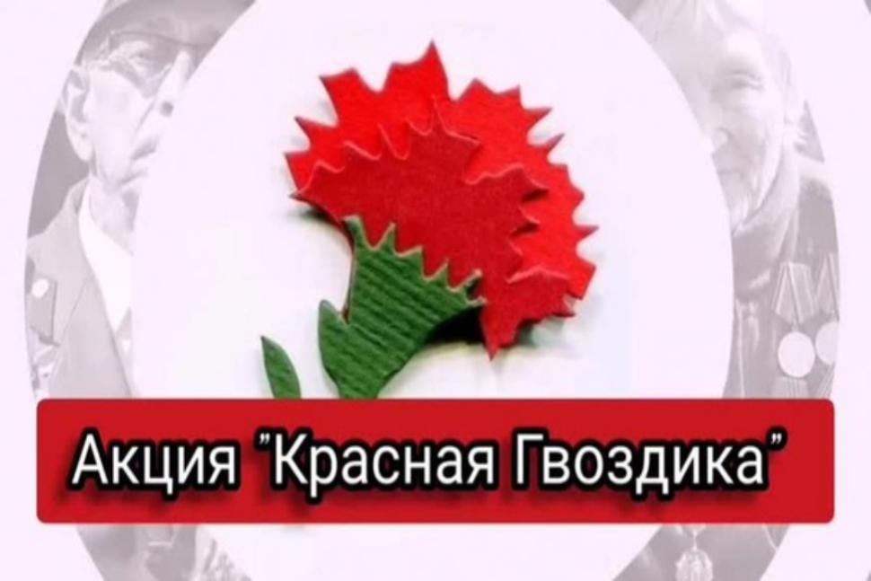 Акция "КРАСНАЯ ГВОЗДИКА" 