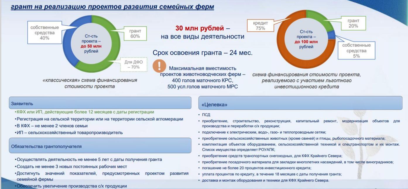 Гранты на развитие малого бизнеса