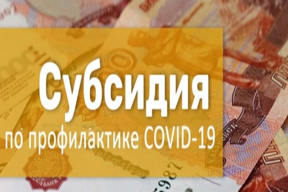Субсидия по профилактике COVID-19 Субсидия по профилактике COVID-19