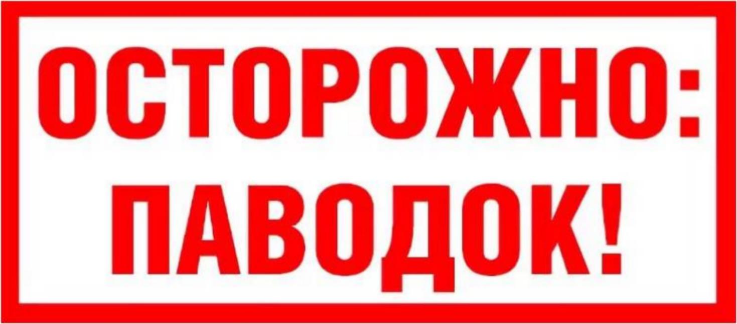 Памятка населению в период весеннего паводка Памятка населению в период весеннего паводка