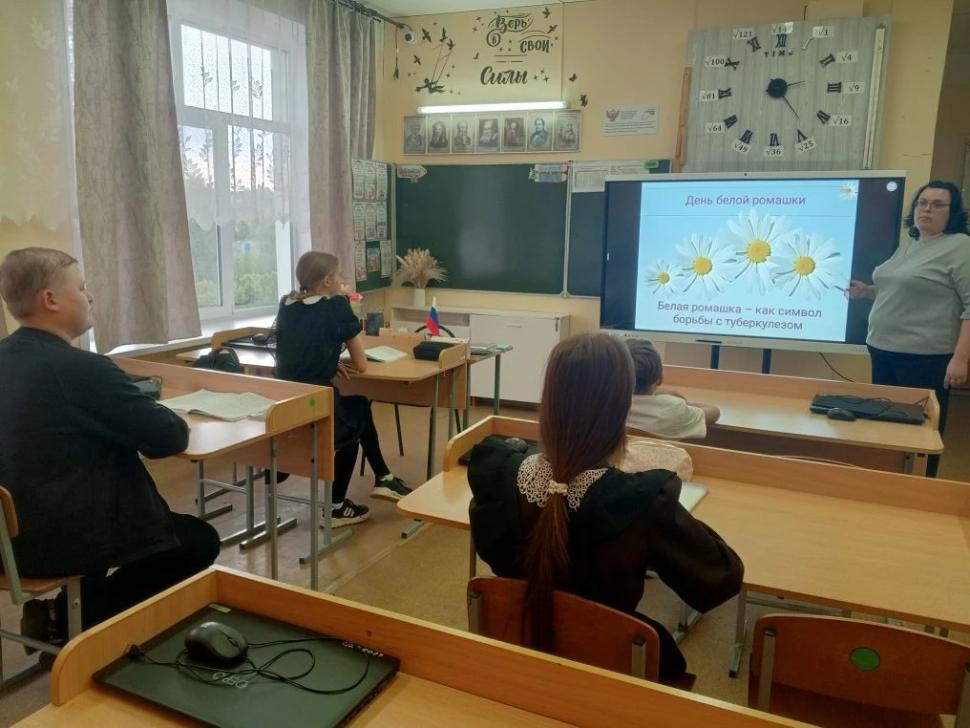 Белая ромашка — символ чистого дыхания: классные часы о здоровье