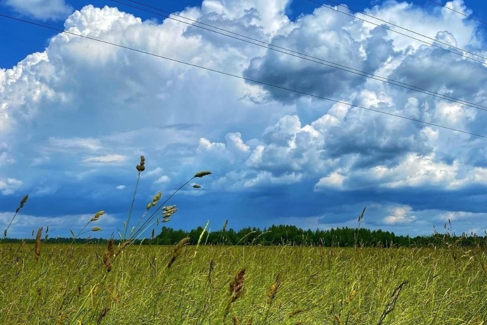 Прогноз погоды 