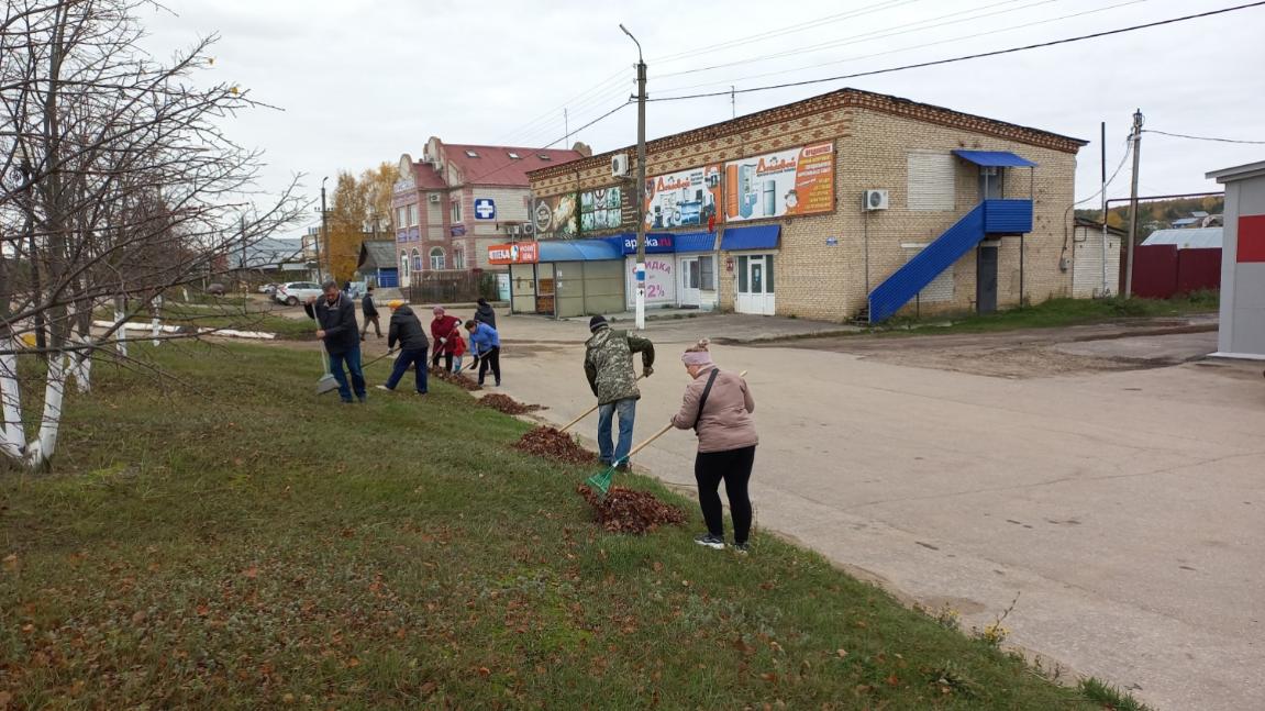 В Камешкирском районе проводятся мероприятия по благоустройству и санитарной очистке территорий