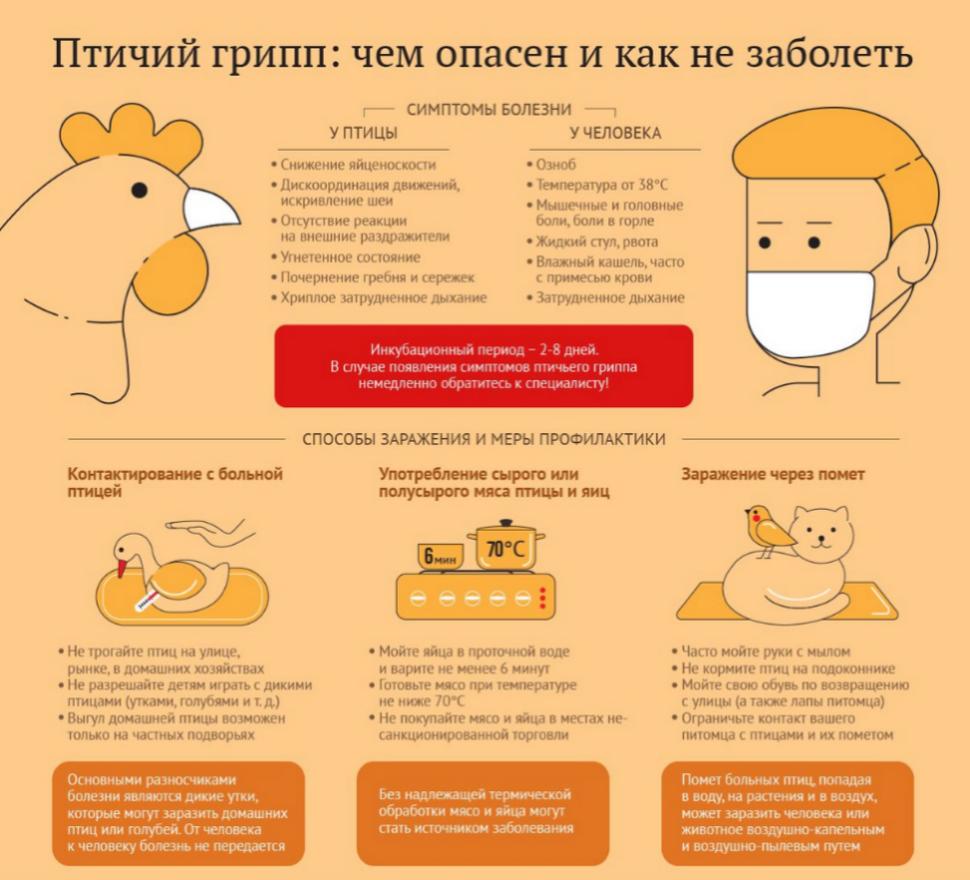 Внимание! Птичий грипп Внимание! Птичий грипп