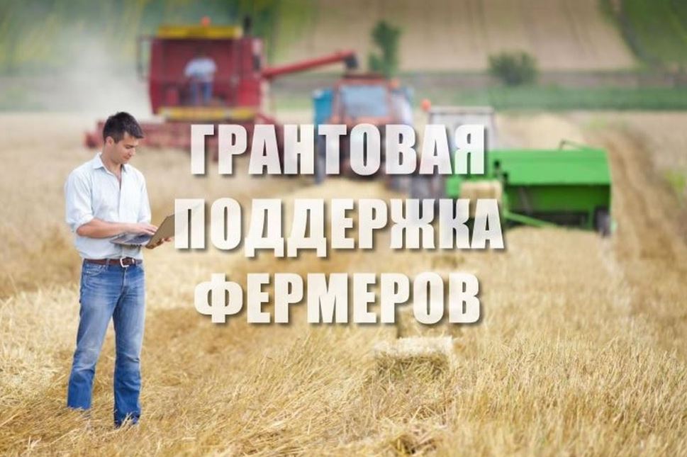 Региональный Минсельхоз объявил прием заявок на предоставление грантов на развитие семейных ферм и грантов «Агропрогресс»  в 2023 году