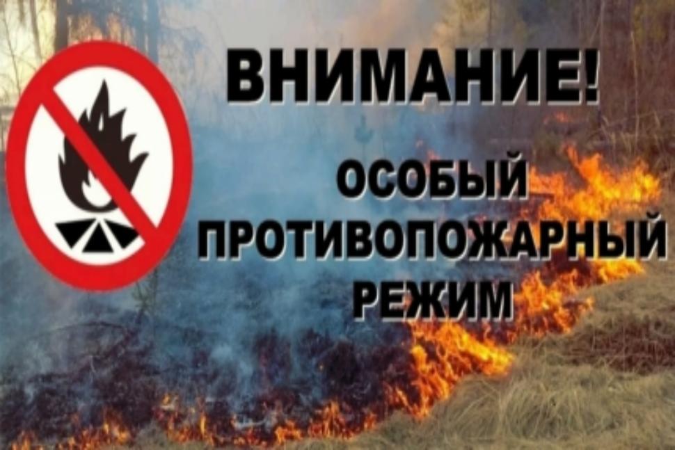 В Пензенской области вводится особый противопожарный режим В Пензенской области вводится особый противопожарный режим