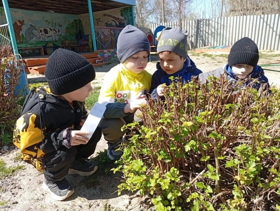 Эколята — дошколята, друзья и защитники природы